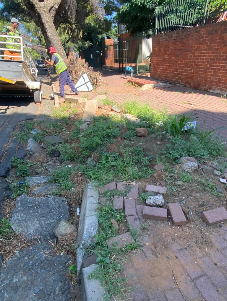 Instagram post from westdene_neighbourhood. This post is in position 12.