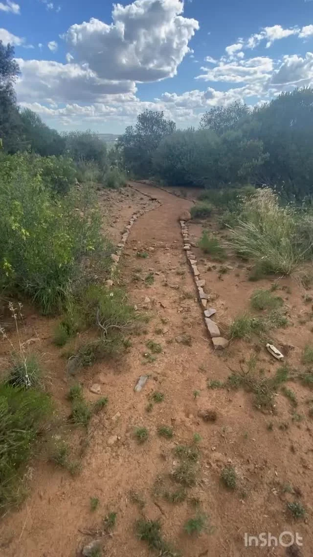 Instagram post from westdene_neighbourhood. This post is in position 6.