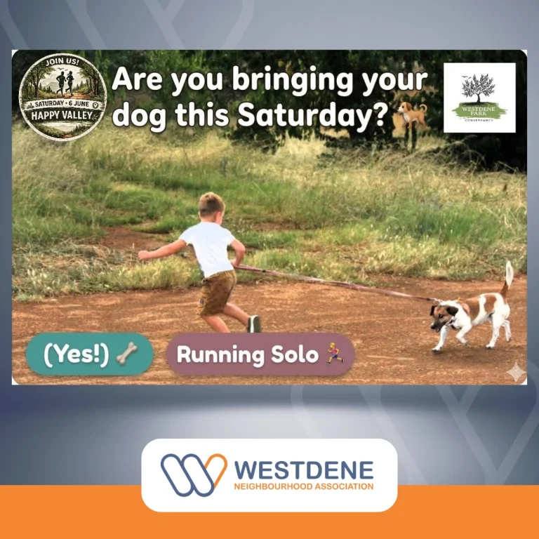 Instagram post from westdene_neighbourhood. This post is in position 1.